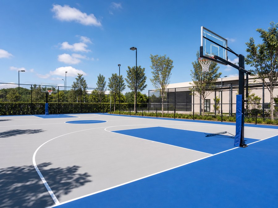 Pista de baloncesto